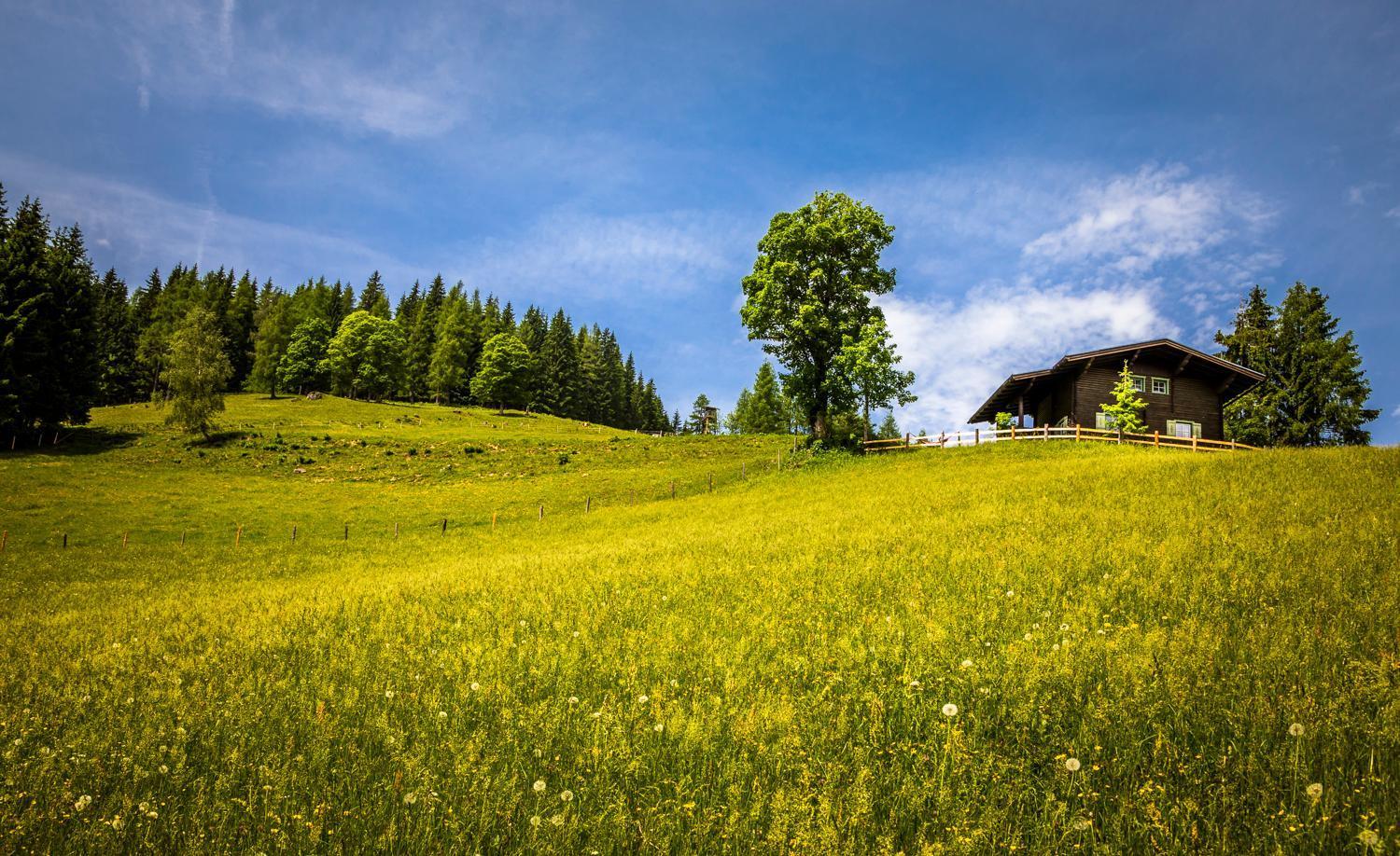Bauernhof Auhof Appartement Wagrain Buitenkant foto